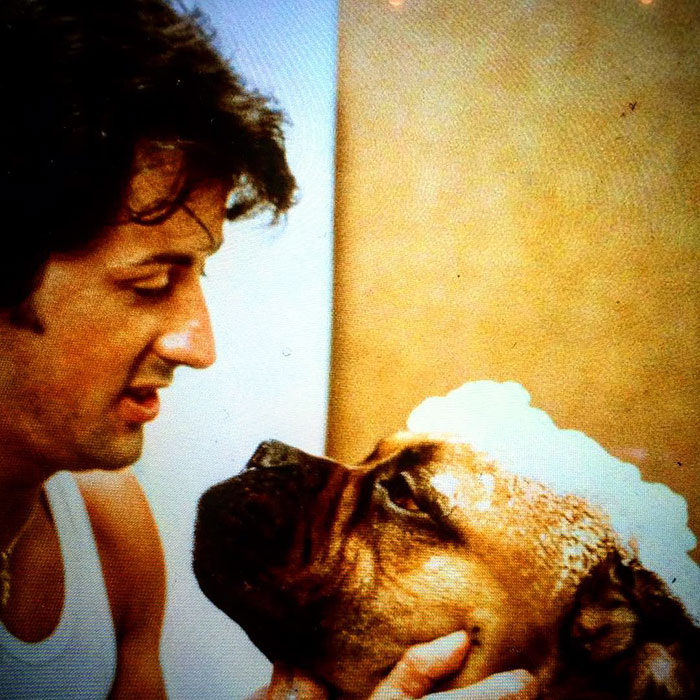 Sylvester Stallone faz homenagem a cachorro que esteve ao seu lado antes da fama