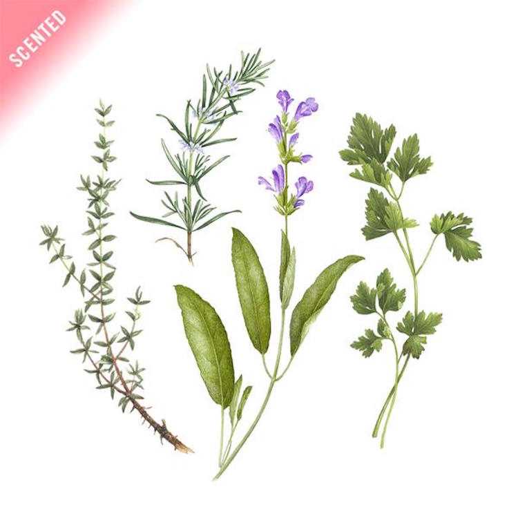 Essas tattoos temporárias ainda vêm com o perfume natural de plantas como salsa, tomilho, alecrim e sálvia. Delícia!