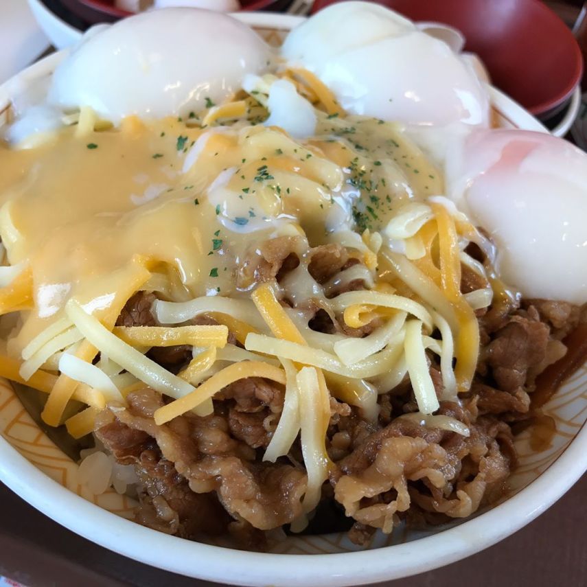 É uma tigela de arroz coberta com carne cozida e, em seguida, queijo, ovo ou kimchi dependendo do que você gosta. Estão em cada esquina do Japão e não é de admirar que eles sejam tão populares.