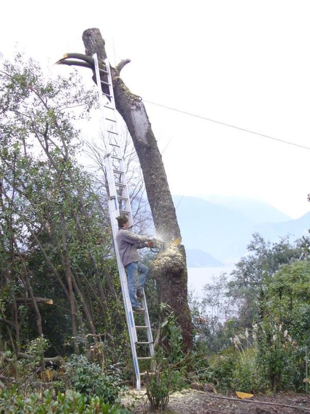 Veja fotos tiradas segundos antes de desastres