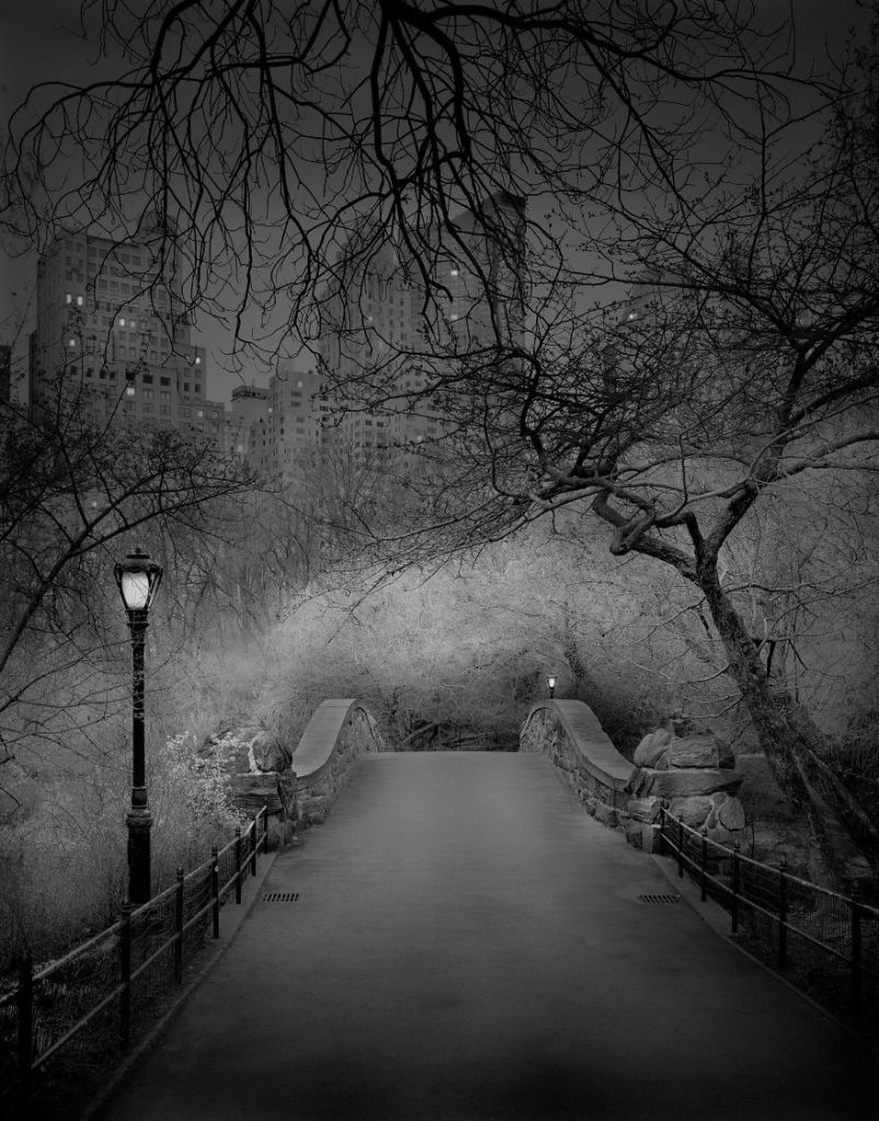 O fotógrafo Michael Massaia aproveitou noites e noites de insônia para capturar a essência do parque de Nova York, nos Estados Unidos, quando não havia ninguém nele
