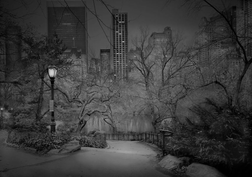 O fotógrafo Michael Massaia aproveitou noites e noites de insônia para capturar a essência do parque de Nova York, nos Estados Unidos, quando não havia ninguém nele