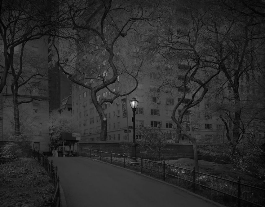 O fotógrafo Michael Massaia aproveitou noites e noites de insônia para capturar a essência do parque de Nova York, nos Estados Unidos, quando não havia ninguém nele