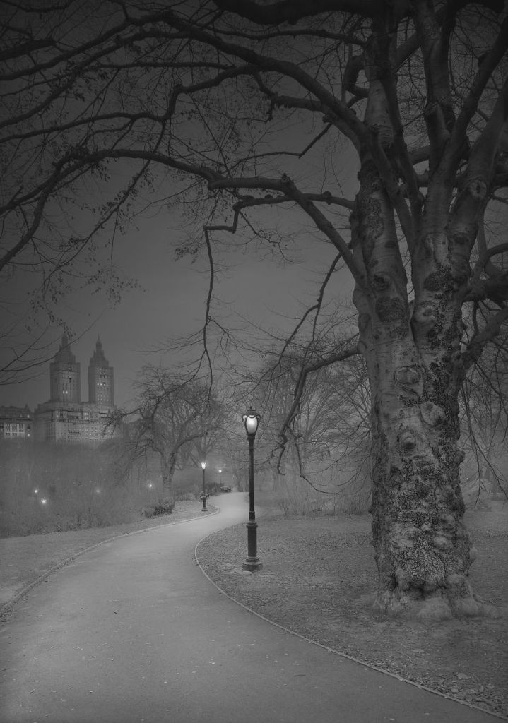 O fotógrafo Michael Massaia aproveitou noites e noites de insônia para capturar a essência do parque de Nova York, nos Estados Unidos, quando não havia ninguém nele