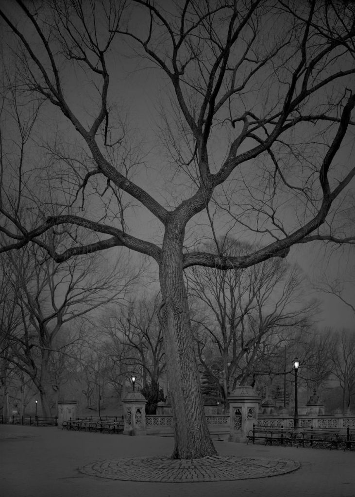 O fotógrafo Michael Massaia aproveitou noites e noites de insônia para capturar a essência do parque de Nova York, nos Estados Unidos, quando não havia ninguém nele
