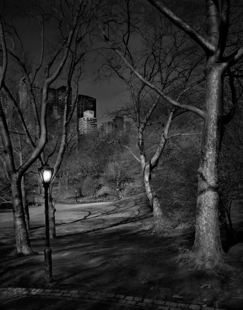 O fotógrafo Michael Massaia aproveitou noites e noites de insônia para capturar a essência do parque de Nova York, nos Estados Unidos, quando não havia ninguém nele
