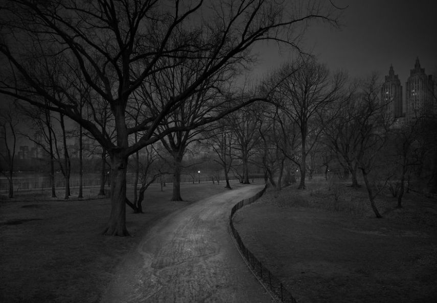 O fotógrafo Michael Massaia aproveitou noites e noites de insônia para capturar a essência do parque de Nova York, nos Estados Unidos, quando não havia ninguém nele