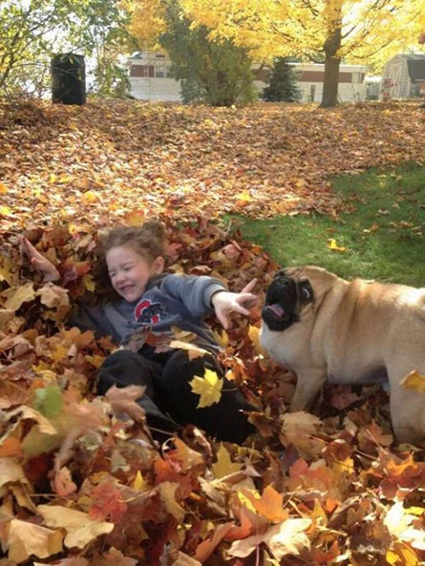 Cachorros com fobias estranhas