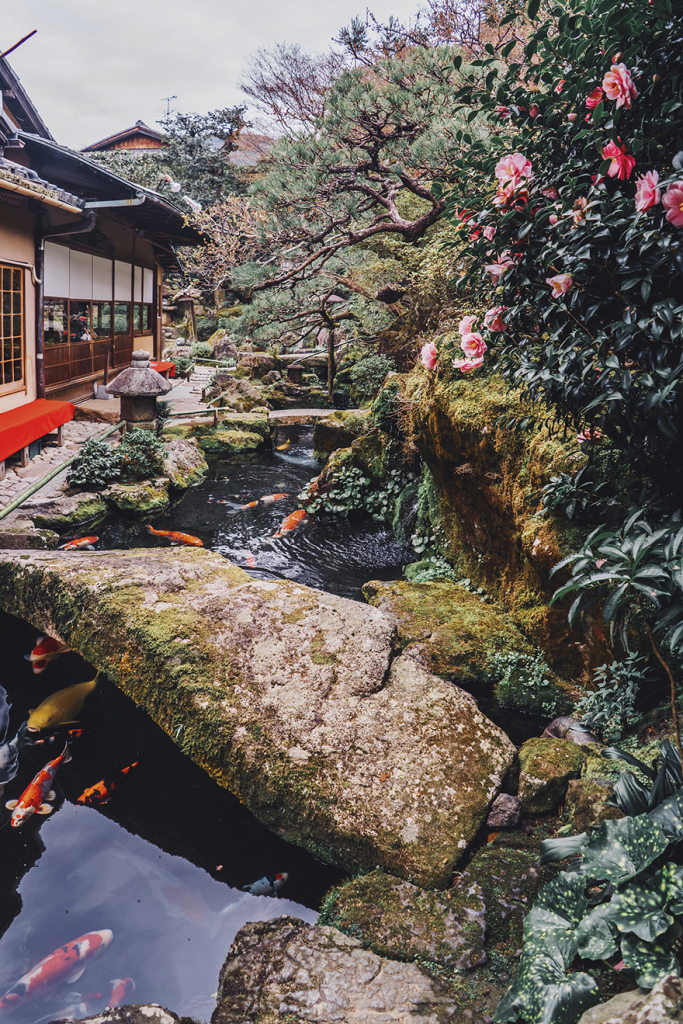 Fotógrafa russa revela esplendor do desabrochar da flor de cerejeira no Japão