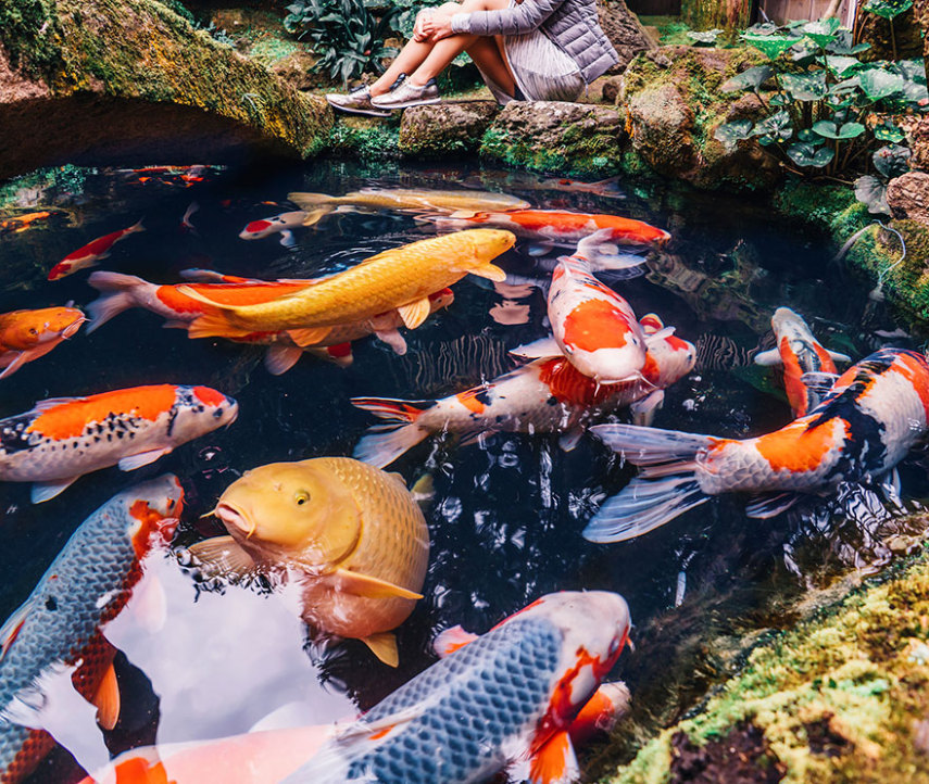 Japão pelas lentes da fotógrafa russa Kristina Makeeva