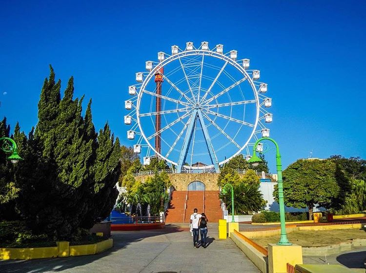 Presidente anuncia que parque fará pausa nas atividades. Já estamos com saudades :(