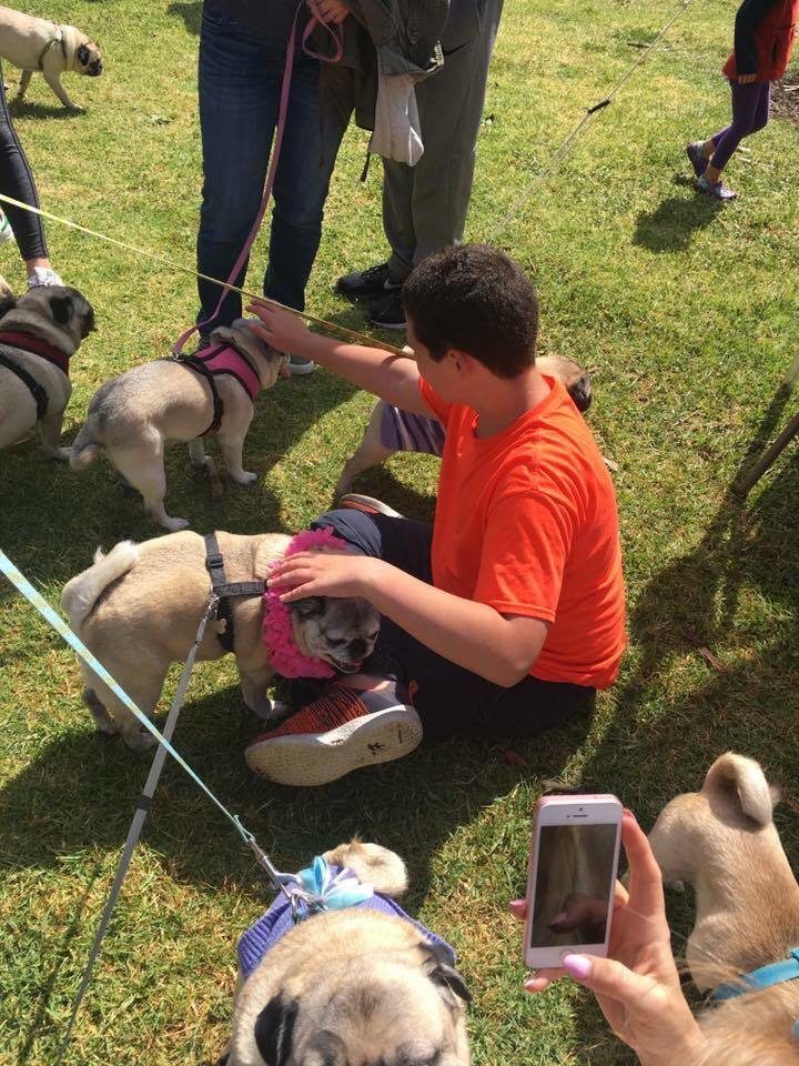 Andrew é autista, tem 14 anos e sua coisa favorita em todo o mundo são pugs. Por isso, sua irmã decidiu surpreendê-lo com uma festa cheia de cachorros da raça!