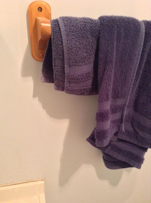 Sombras que vão fazer você olhar duas vezes para estas imagens