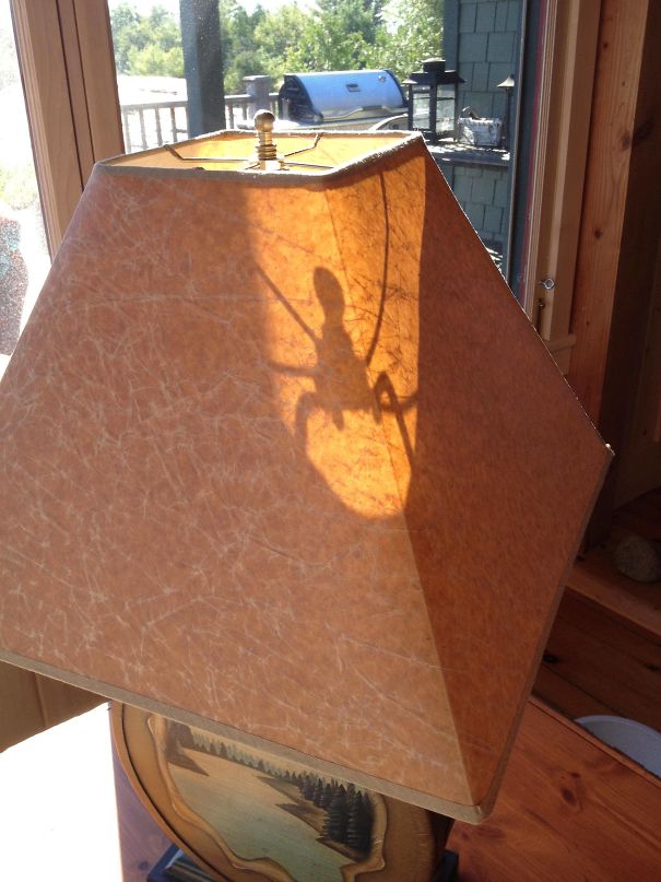 Sombras que vão fazer você olhar duas vezes para estas imagens