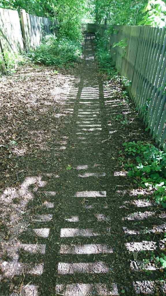 Sombras que vão fazer você olhar duas vezes para estas imagens
