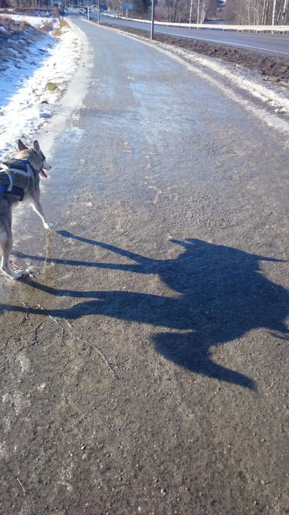 Sombras que vão fazer você olhar duas vezes para estas imagens