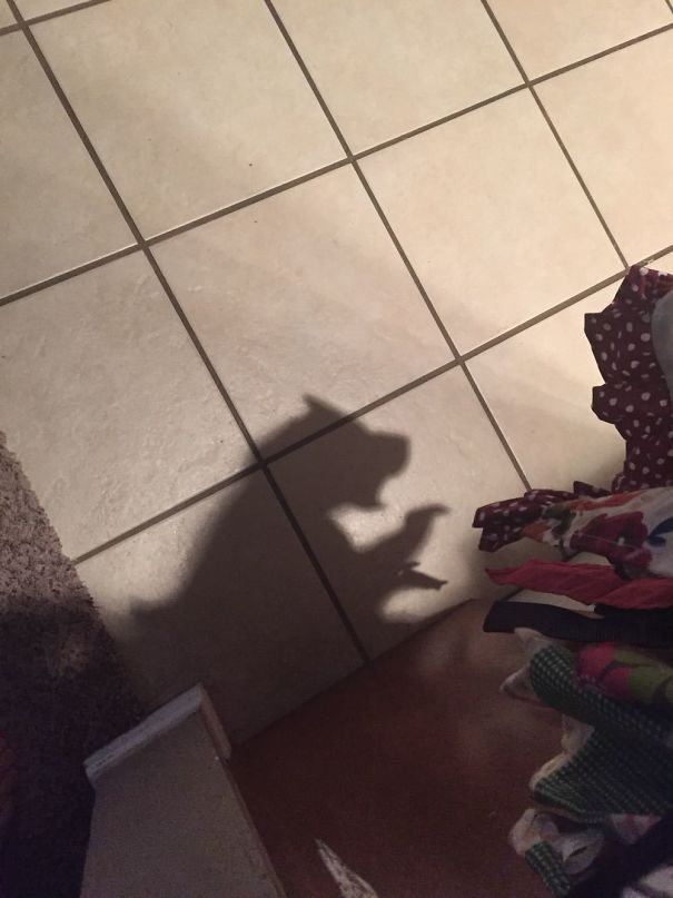 Sombras que vão fazer você olhar duas vezes para estas imagens