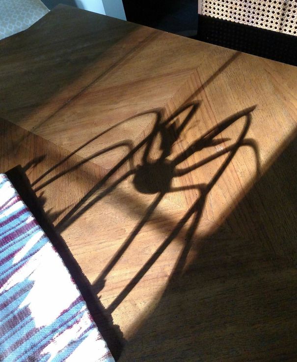 Sombras que vão fazer você olhar duas vezes para estas imagens