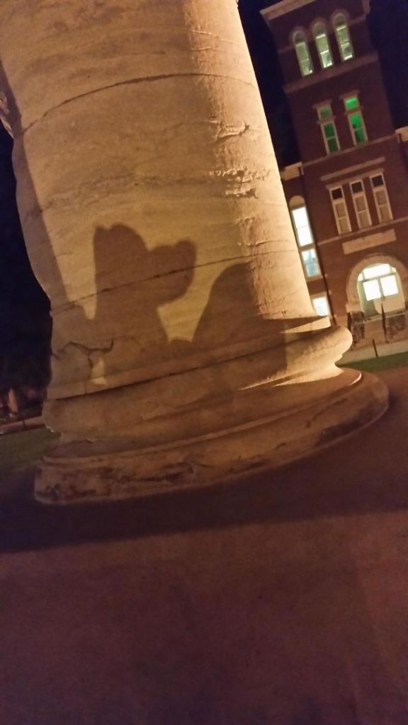 Sombras que vão fazer você olhar duas vezes para estas imagens