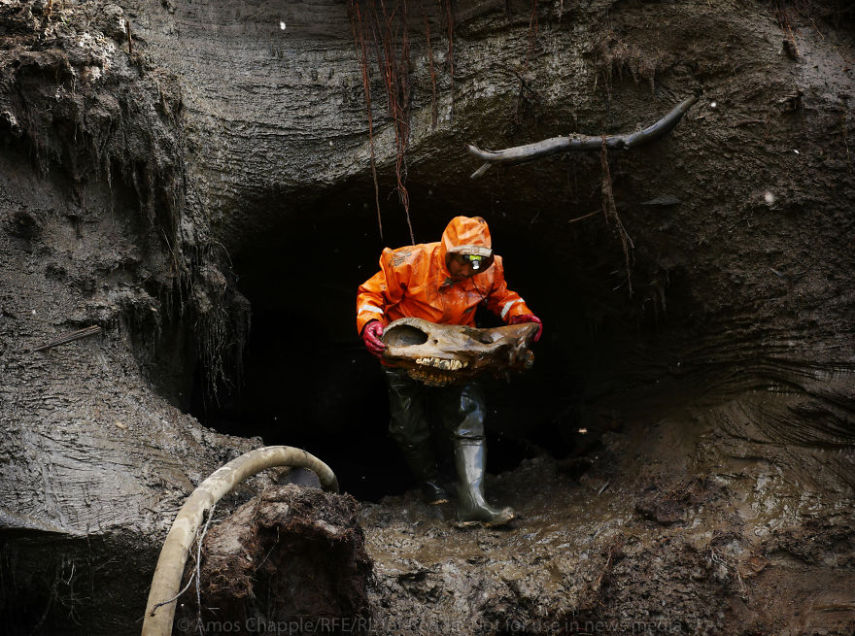 O fotógrafo Amos Chapple, da Radio Free Europe, resolveu acompanhar de perto o mundo dos mineradores russos, também conhecidos como 