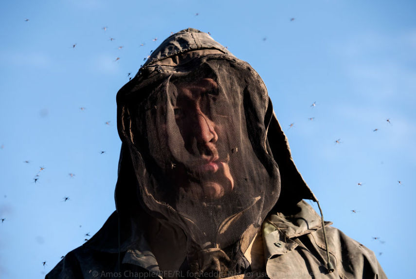 O fotógrafo Amos Chapple, da Radio Free Europe, resolveu acompanhar de perto o mundo dos mineradores russos, também conhecidos como 