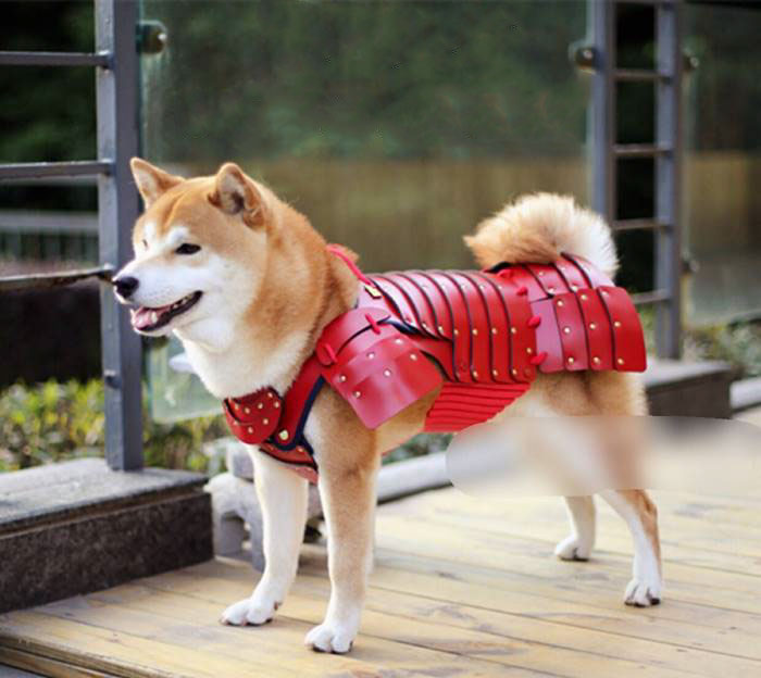 Uma empresa japonesa chamada Samurai Age acaba de criar algo que o mundo precisava ver: armaduras samurais para cachorros e gatos.