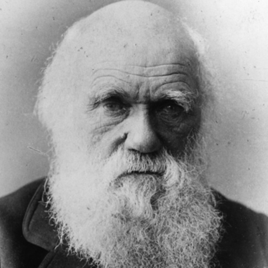 Charles Darwin foi considerado um estudante médio. Ele desistiu de uma carreira em medicina e estava indo para a escola para se tornar um pastor. Mas quando Darwin estudou a natureza, ele encontrou seu verdadeiro chamado e percorreu o mundo para descobrir seus mistérios. Seus escritos, especialmente 