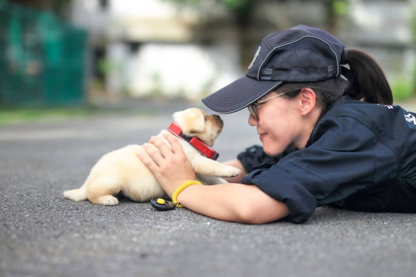 A polícia de Taiwan apresentou os novos membros da unidade K-9, que cuida dos esquadrões antidrogas e antibomba