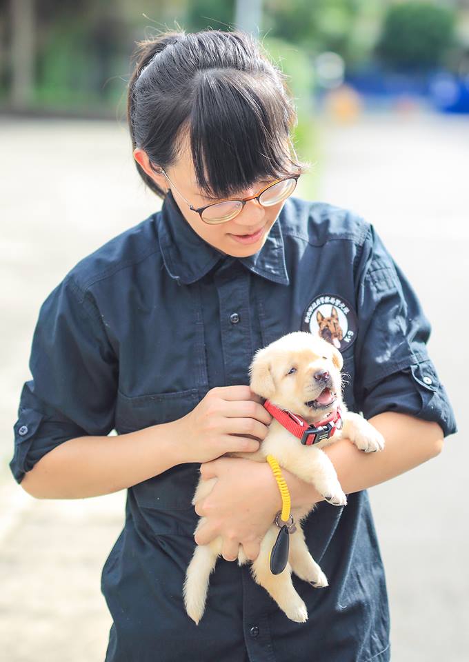 A polícia de Taiwan apresentou os novos membros da unidade K-9, que cuida dos esquadrões antidrogas e antibomba