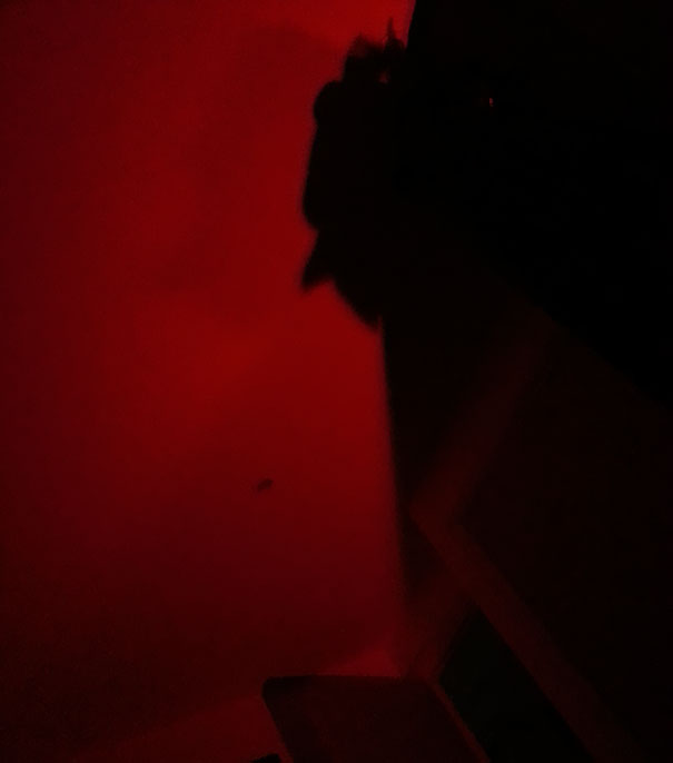 Sombras que vão fazer você olhar duas vezes para estas imagens