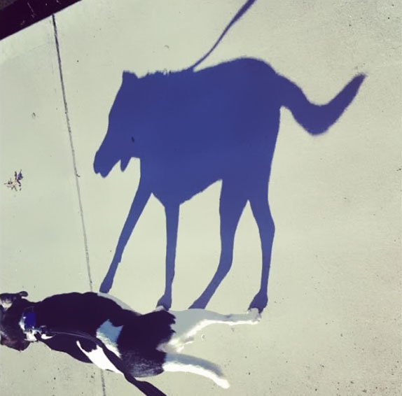 Sombras que vão fazer você olhar duas vezes para estas imagens