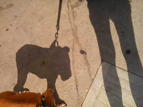 Sombras que vão fazer você olhar duas vezes para estas imagens