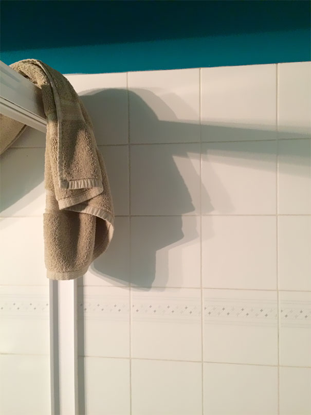 Sombras que vão fazer você olhar duas vezes para estas imagens