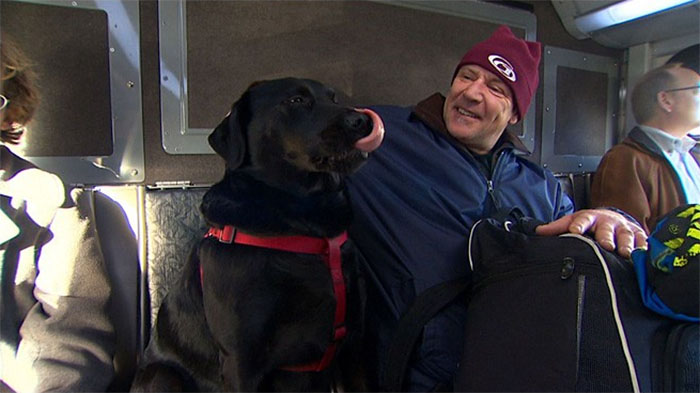 Tudo começou quando a cachorra, mix de Labrador e Mastiff, estava no ponto de ônibus com seu dono, Jeff Young. O humano estava demorando muito para terminar o seu cigarro. Então, quando o ônibus chegou, ela simplesmente pulou dentro dele e foi até o parque