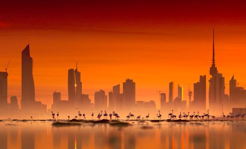 Os flamingos têm penas rosadas ou alaranjadas devido aos carotenóides, que são os pigmentos naturais presentes nos alimentos que comem, como crustáceos, algas e plâncton.