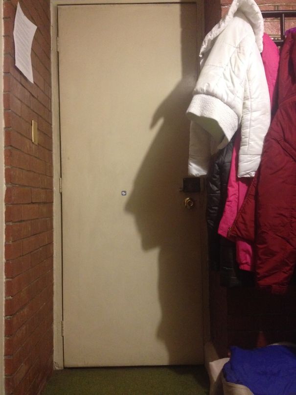 Sombras que vão fazer você olhar duas vezes para estas imagens