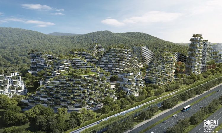China começa construção da primeira 'cidade florestal' com mais de 1 milhão de plantas
