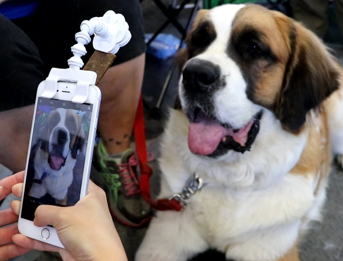 Acessório inteligente para telefone ajuda a capturar retratos de animais de estimação