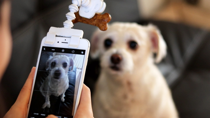 Acessório inteligente para telefone ajuda a capturar retratos de animais de estimação