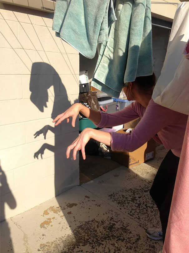 Sombras que vão fazer você olhar duas vezes para estas imagens