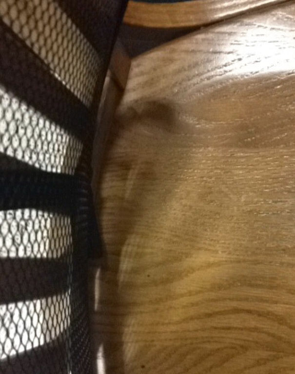 Sombras que vão fazer você olhar duas vezes para estas imagens