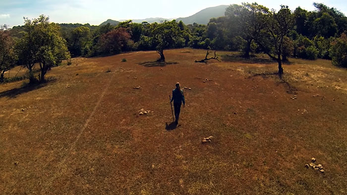 Pamela Gale Malhotra e seu marido, Anil Malhotra, são donos do Sai Sanctuary. Eles vem replantando e protegendo a floresta desde sua fundação em 1991. Quando compraram a terra, tudo estava destruído. Hoje, são 121 hectares de floresta e é a casa de mais de 200 espécies de plantas que estão ameaçadas globalmente, além de muitos animais, incluindo elefantes e tigres de bengala