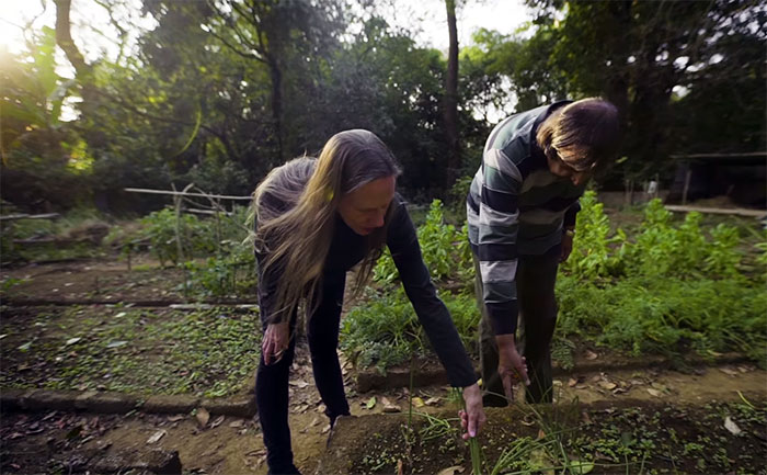 Pamela Gale Malhotra e seu marido, Anil Malhotra, são donos do Sai Sanctuary. Eles vem replantando e protegendo a floresta desde sua fundação em 1991. Quando compraram a terra, tudo estava destruído. Hoje, são 121 hectares de floresta e é a casa de mais de 200 espécies de plantas que estão ameaçadas globalmente, além de muitos animais, incluindo elefantes e tigres de bengala