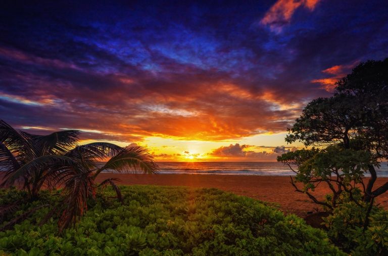 O site de viagens Travel + Leisure fez uma pesquisa sobre as 10 melhores ilhas do planeta entre seus leitores. As escolhas foram feitas considerando avaliações positivas de turistas, atividades oferecidas em pontos turísticos, atrações naturais gratuitas, limpeza das praias, comida, simpatia dos moradores locais e funcionários, e o valor total dos pacotes. 