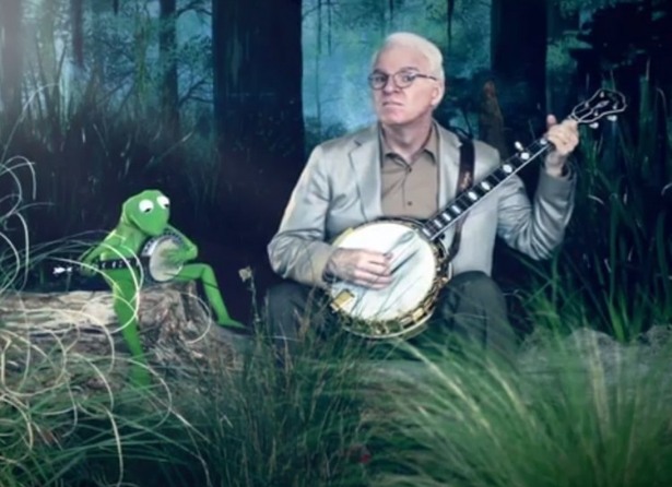 Além de comediante, ele é reconhecido por sua habilidade em jogar o banjo. Martin começou a tocar quando tinha 17 anos e nunca parou. Martin lançou álbuns de bluegrass.