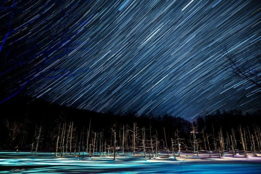 Concurso da National Geographic revela prévia de melhores fotos de natureza