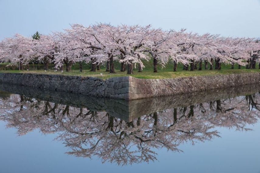 Concurso da National Geographic revela prévia de melhores fotos de natureza