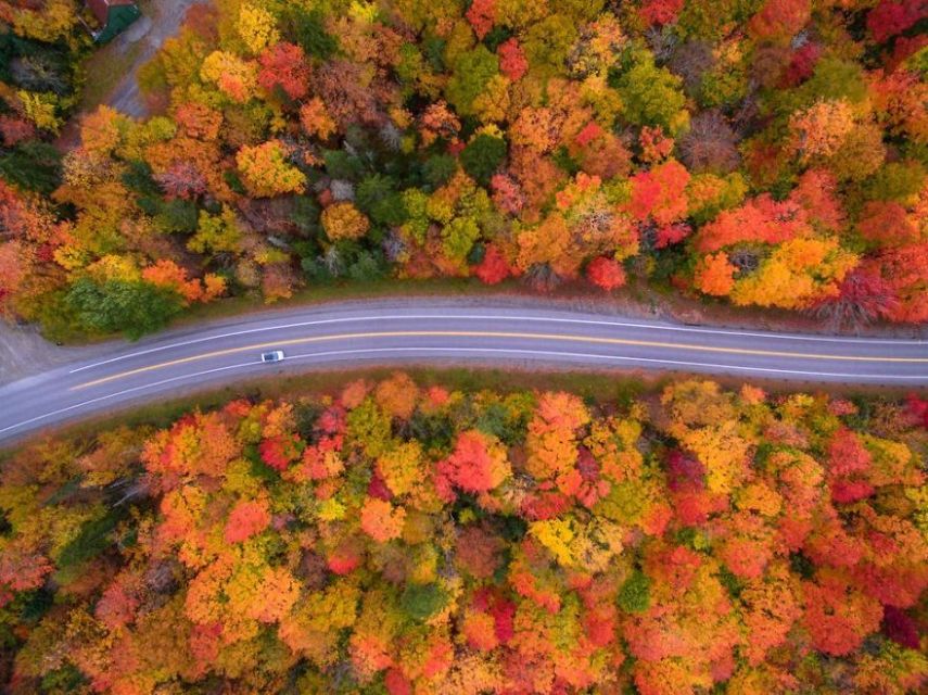 Concurso da National Geographic revela prévia de melhores fotos de natureza