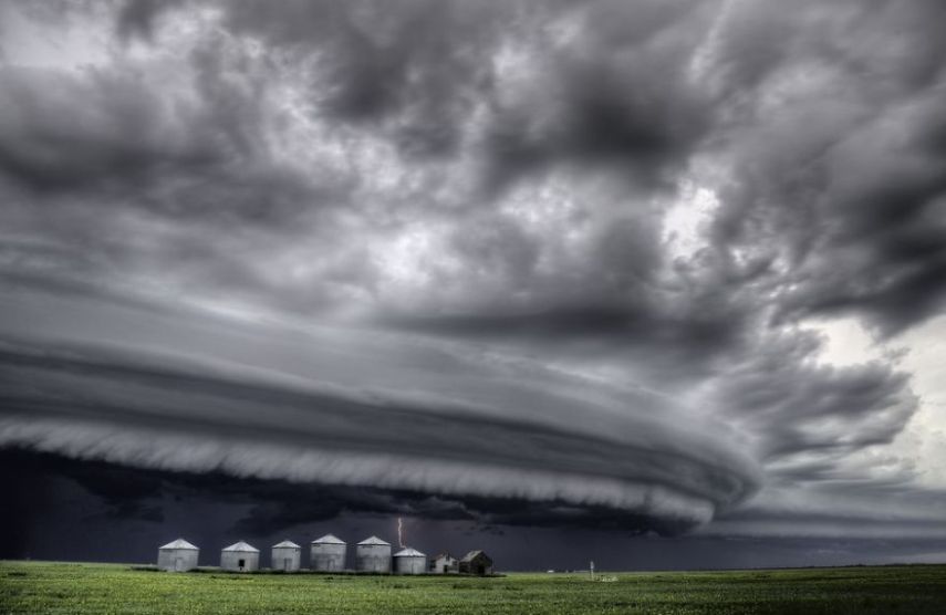 Concurso da National Geographic revela prévia de melhores fotos de natureza