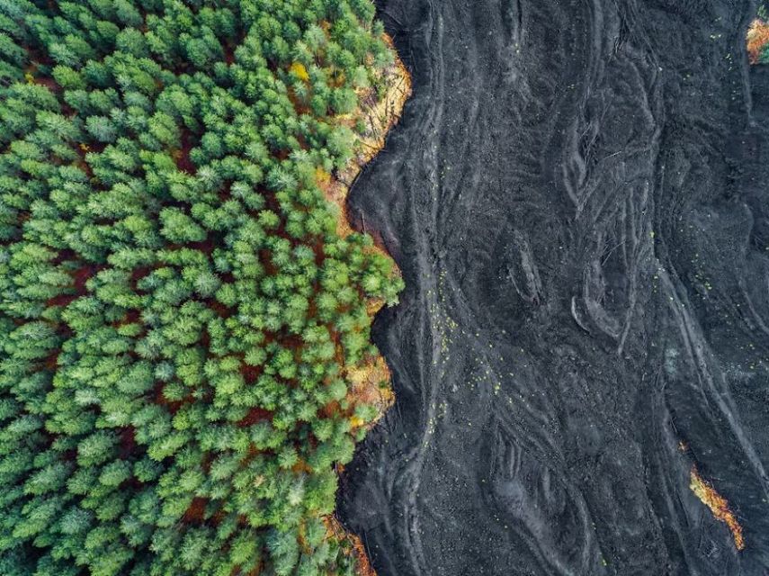 Concurso da National Geographic revela prévia de melhores fotos de natureza
